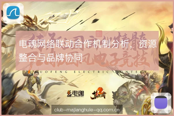 电魂网络联动合作机制分析，资源整合与品牌协同